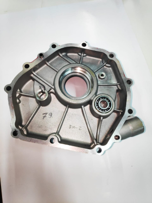 Крышка картера для DY9500L/LX-3(79) KEM, HAY,БГ-11000Э(39) HAY